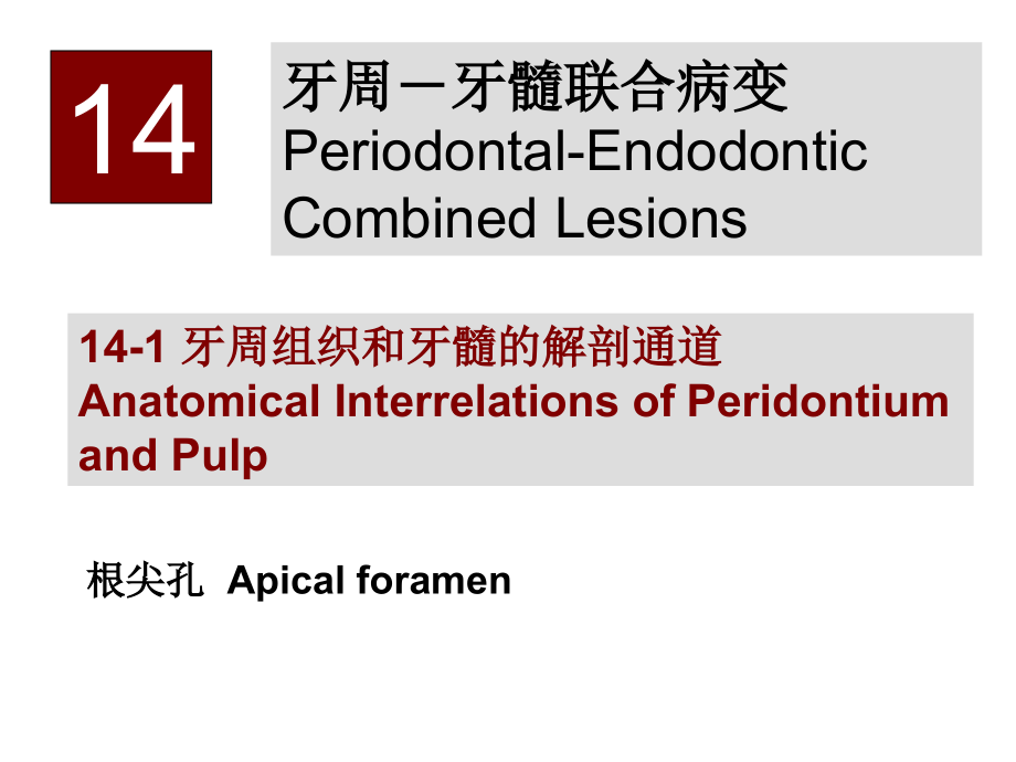 chapter14,牙周牙髓联合病变.ppt_第1页
