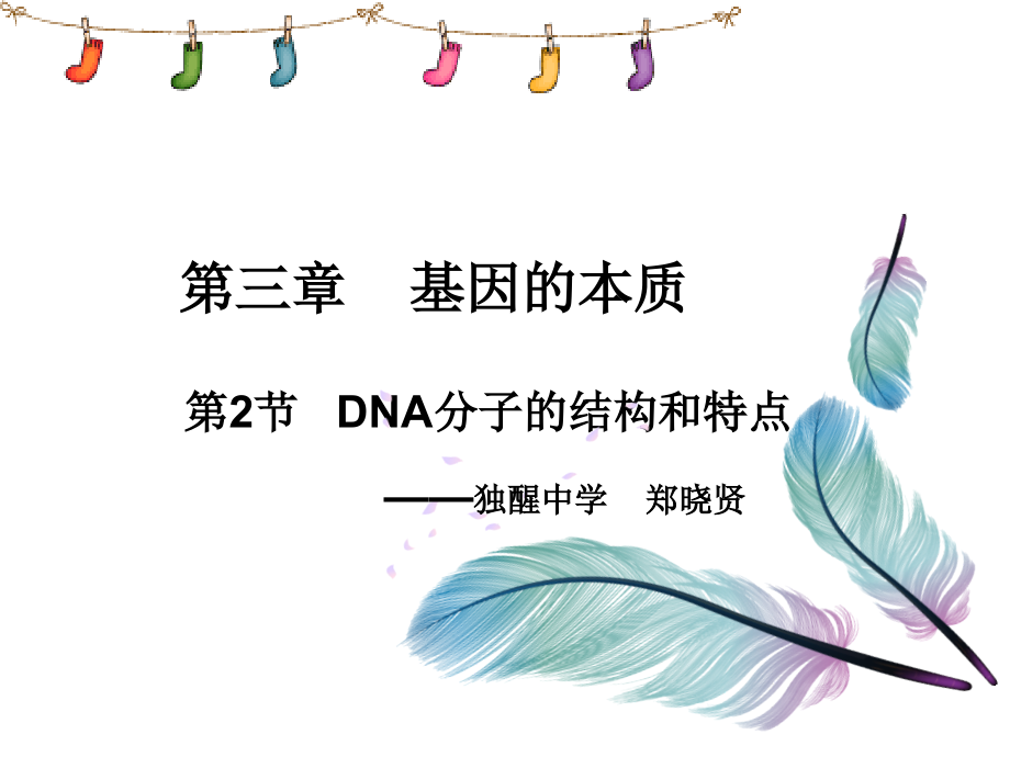 第二节DNA的分子结构和特点.ppt_第1页