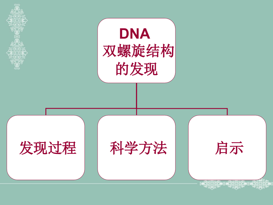 生命的螺旋-----从DNA双螺旋中阐述自然科学方法.ppt_第2页