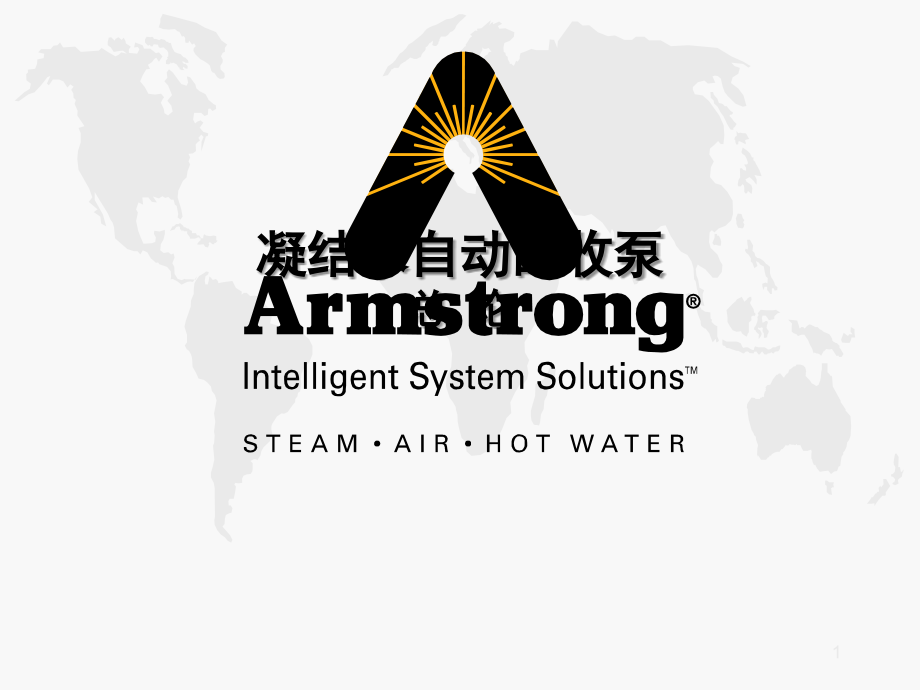 Armstrong凝结水泵成功案例.ppt_第1页