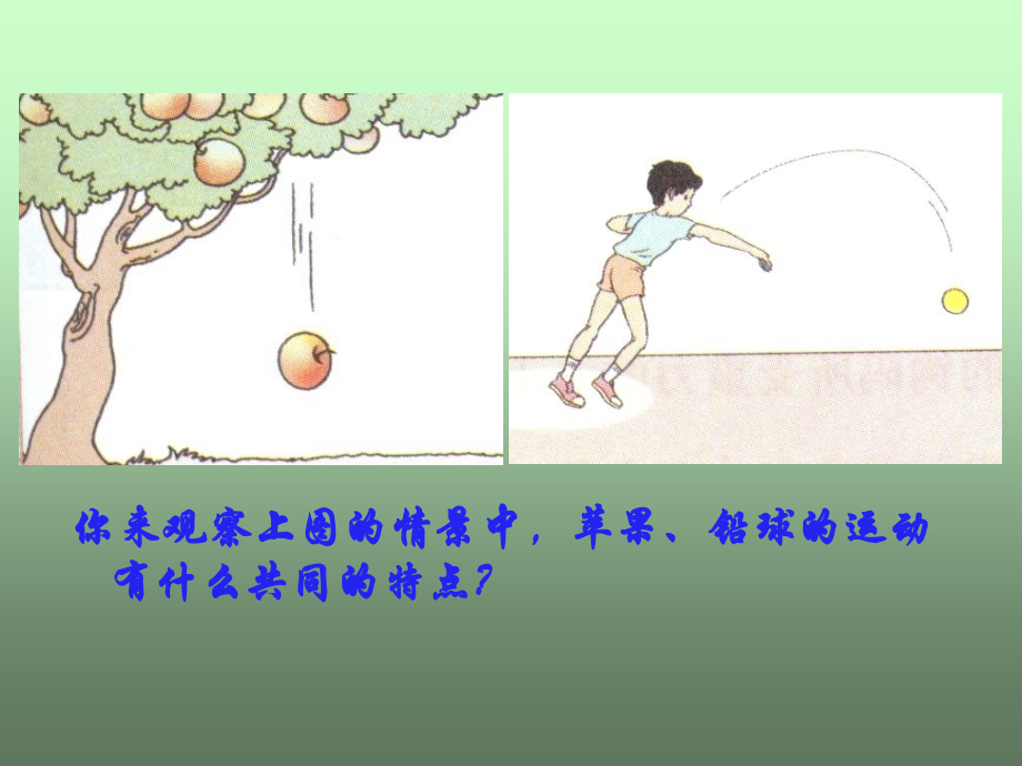 物理：教科版八年级 重力.ppt_第2页