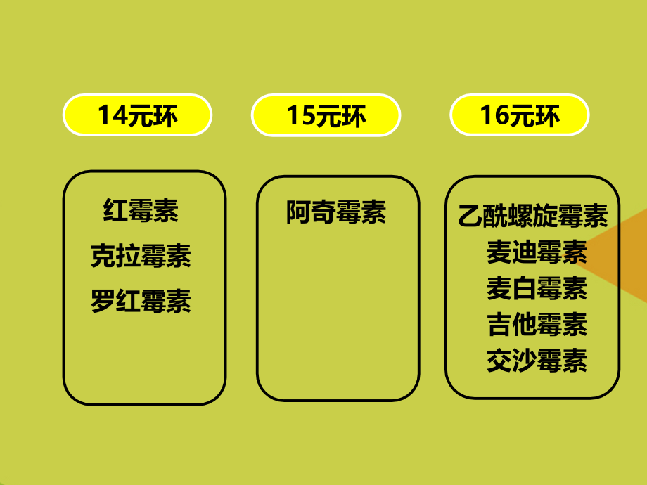 除内酰胺类抗生素.ppt_第2页