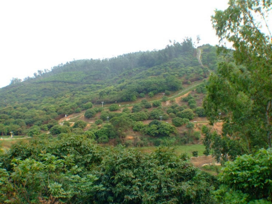 浙江省温州市平阳县鳌江镇第三中学七年级科学下册《第四章-不断运动的地球》地形和表示地形的地图课件-浙教.ppt_第2页