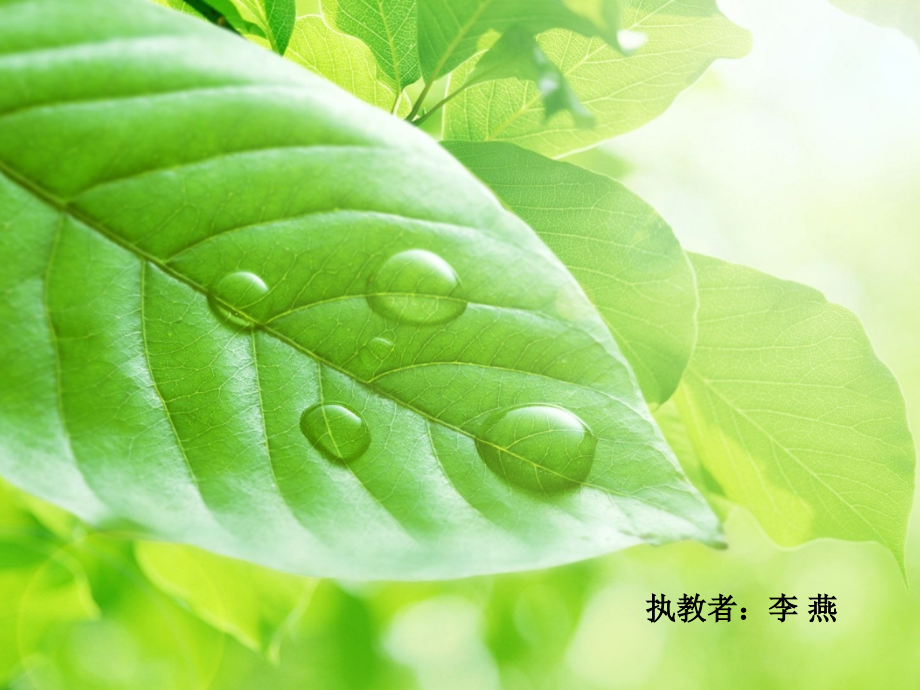小学数学人教二年级方格中的推理.ppt_第1页