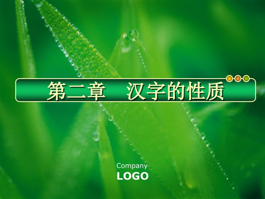 第二章 汉字的性质.ppt_第1页