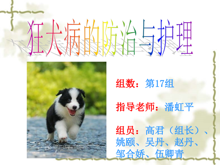 狂犬病(2).ppt_第1页