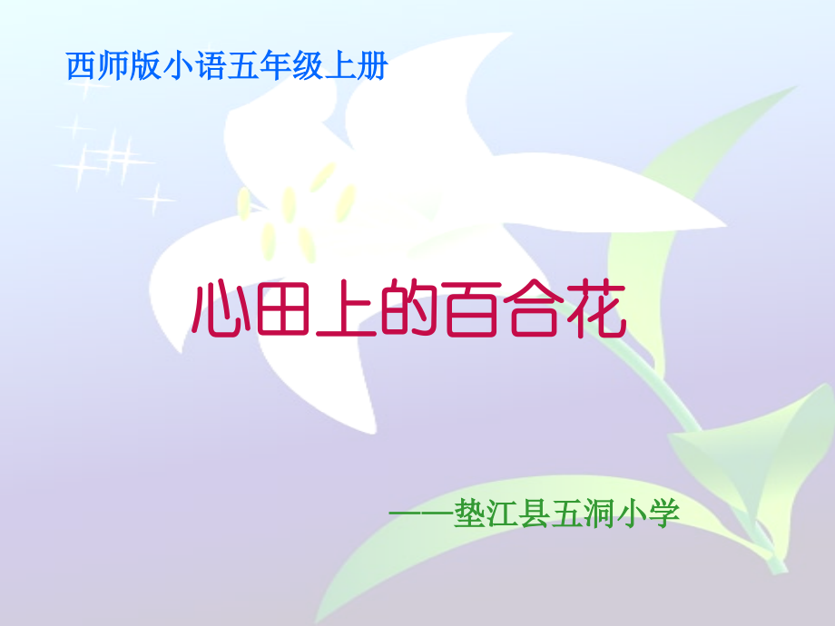 心田上的百合.ppt_第1页
