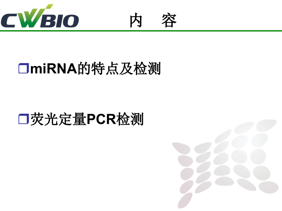 荧光定量PCR.ppt_第2页