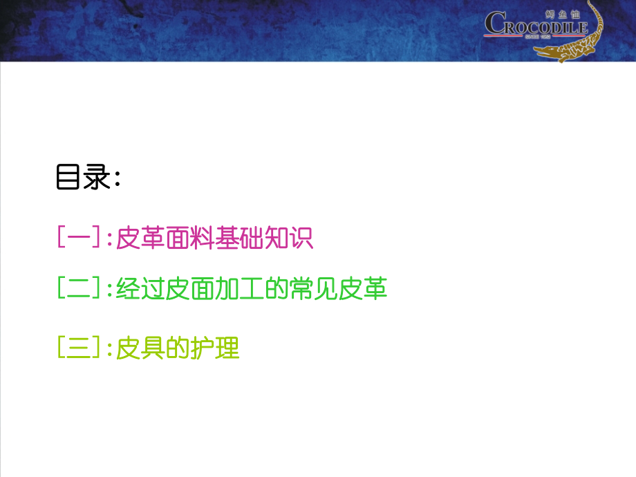 终端管理--产品知识4--皮具面料基础知识.ppt_第2页