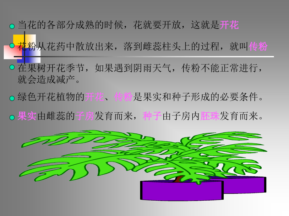 青岛版小学科学五年级下册《果实是怎样形成的》课件-.ppt_第2页