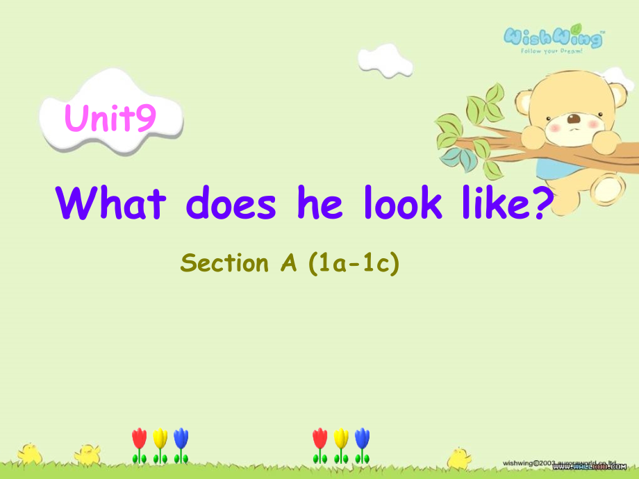 Unit9-What-does-he-look-like-Section-A-(1ac).ppt_第1页