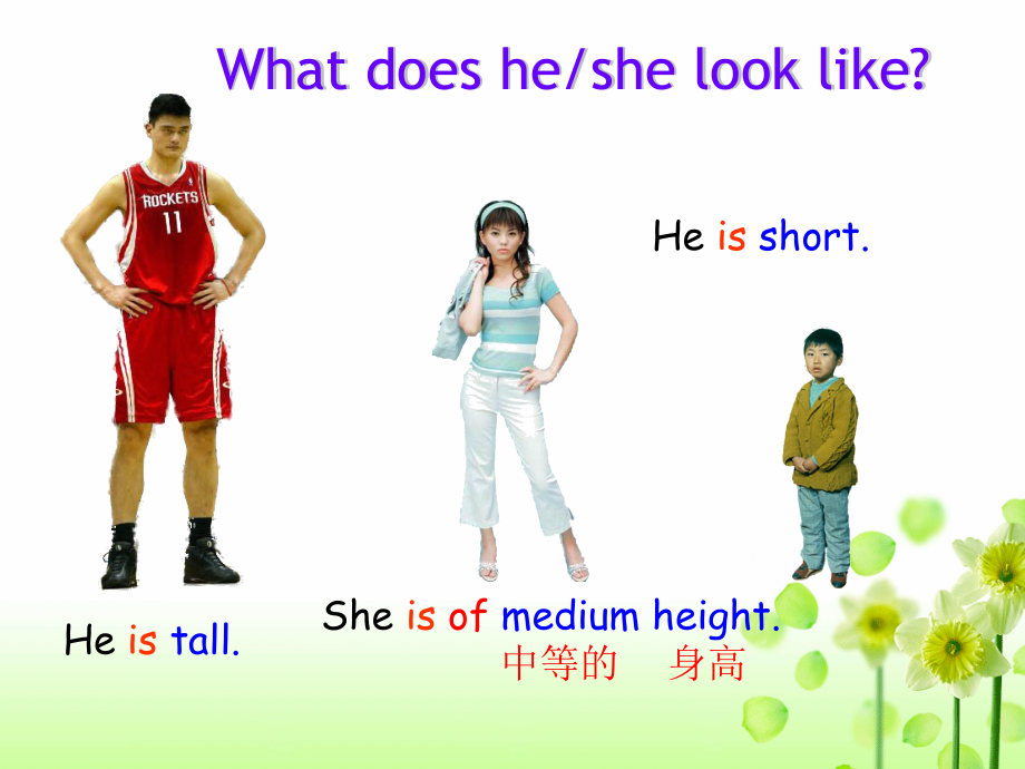 Unit9-What-does-he-look-like-Section-A-(1ac).ppt_第2页