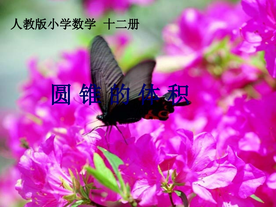 《圆锥的体积》课件(吕夏兵).ppt_第1页