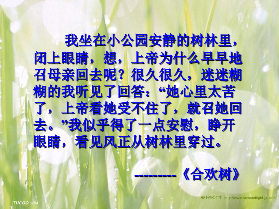 (部编)初中语文人教七年级上册黄永勤《秋天的怀念》.ppt_第1页