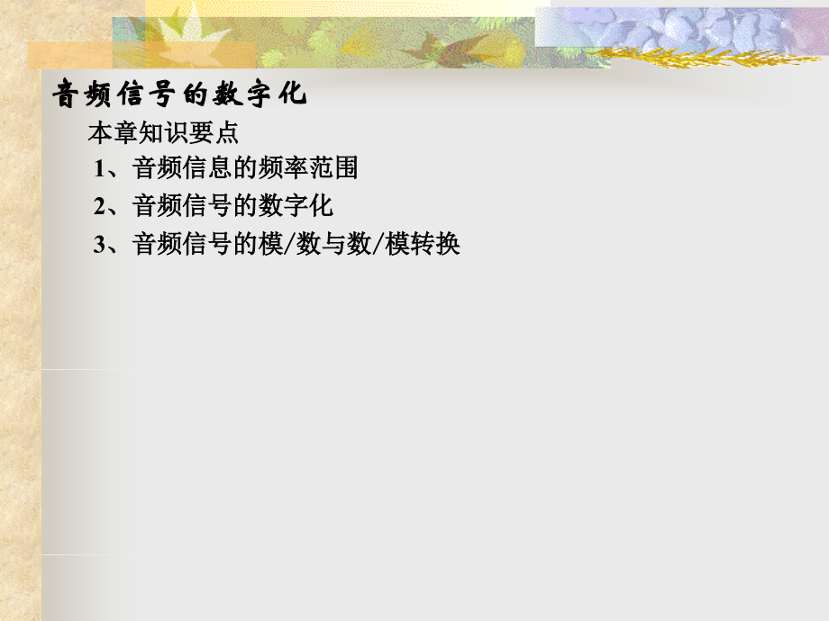 音频信号的数字化.ppt_第2页