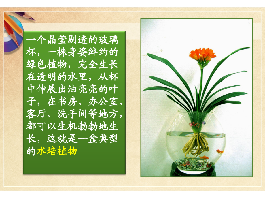 细胞呼吸(市级公开课).ppt_第2页