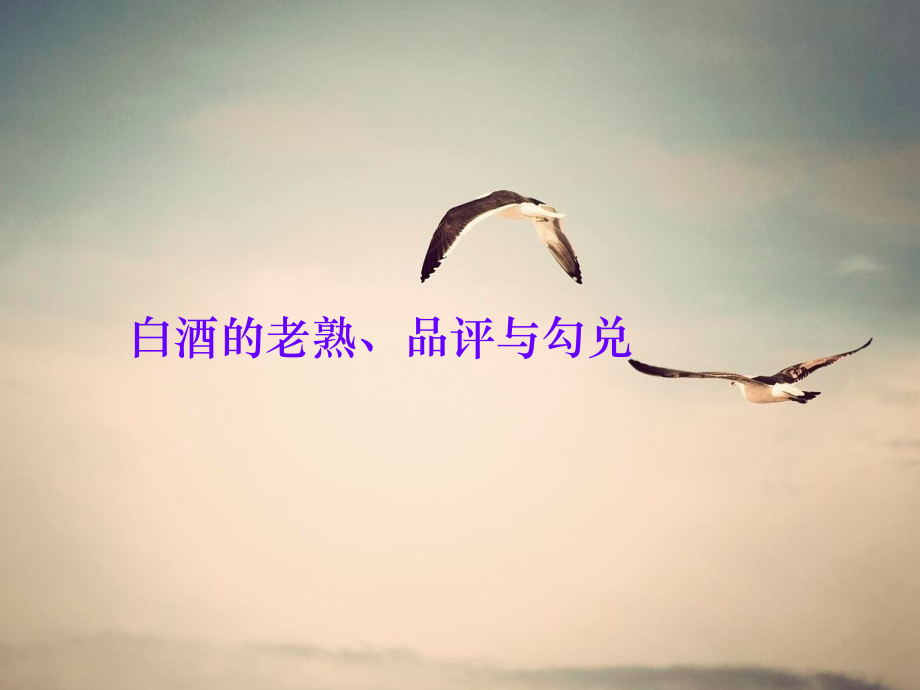 白酒的老熟、品评与勾兑.ppt_第1页