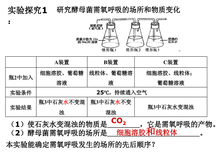 第四节细胞呼吸.ppt_第2页