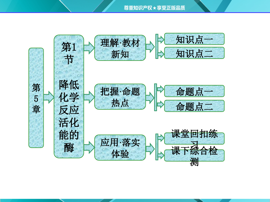第1部分第5章第1节降低化学反应活化能的酶.ppt_第1页