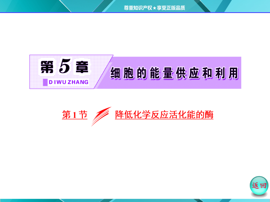 第1部分第5章第1节降低化学反应活化能的酶.ppt_第2页