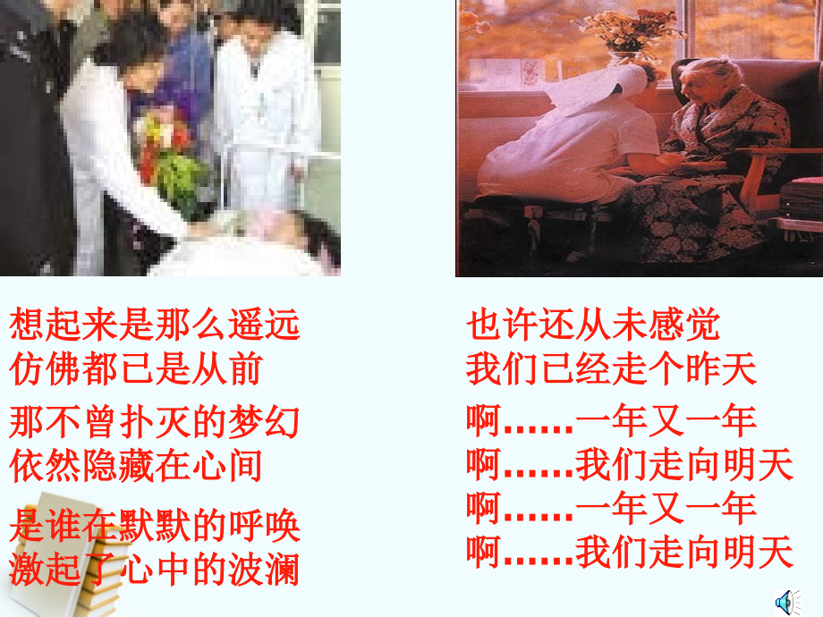 七年级语文上册-综合性学习1：让世界充满爱课件-鲁教版.ppt_第2页