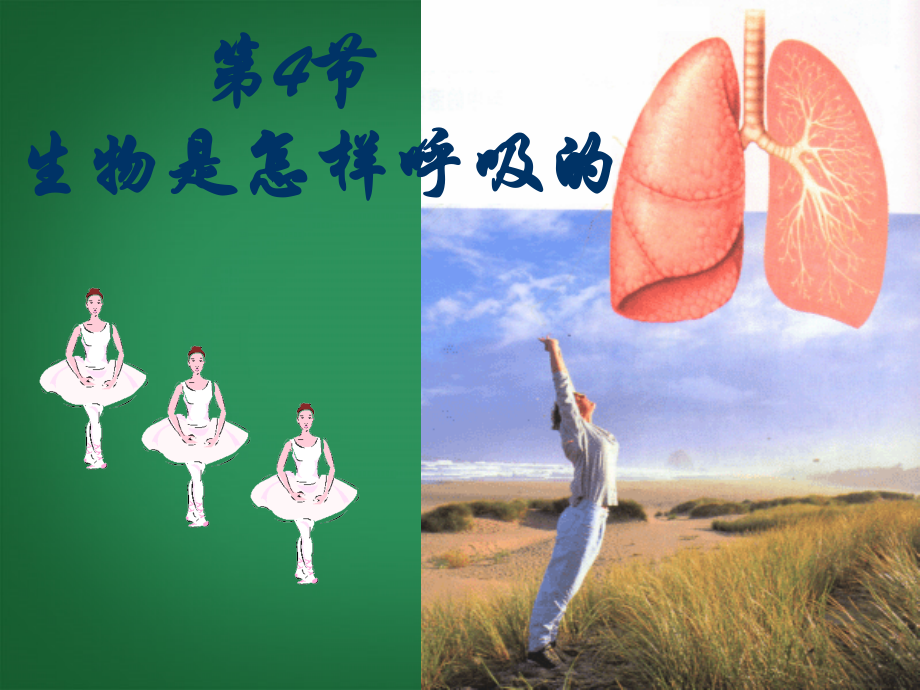 浙江省泰顺县新城学校八年级科学下册《2.4-生物是怎样呼吸的》课件-浙教版.ppt_第1页