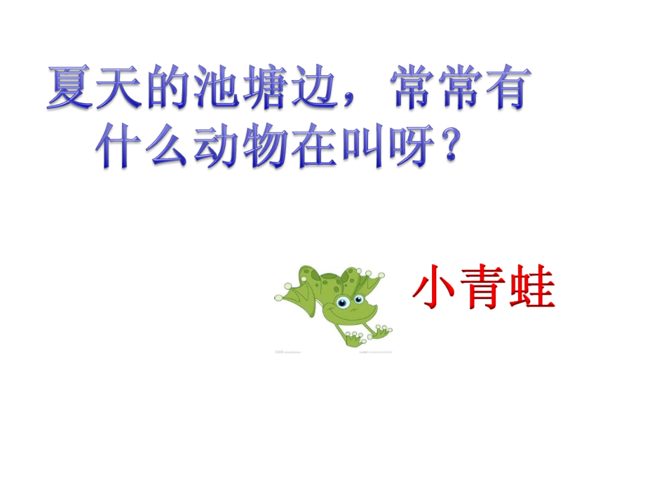 小青蛙找家.ppt_第1页