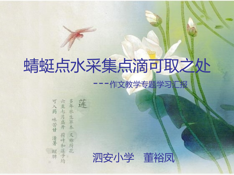 蜻蜓点水采集点滴可取之处.ppt_第1页