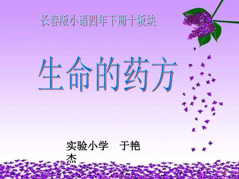 第十板块生命的药方.ppt_第1页