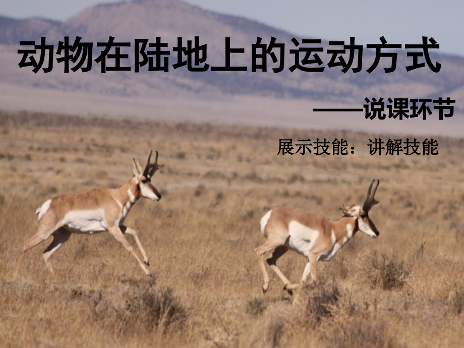 第节动物运动的方式.ppt_第1页