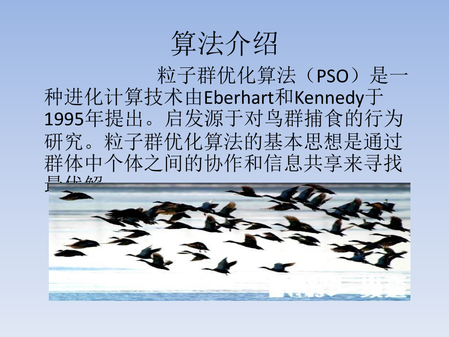 粒子群优化算法(PSO).ppt_第2页