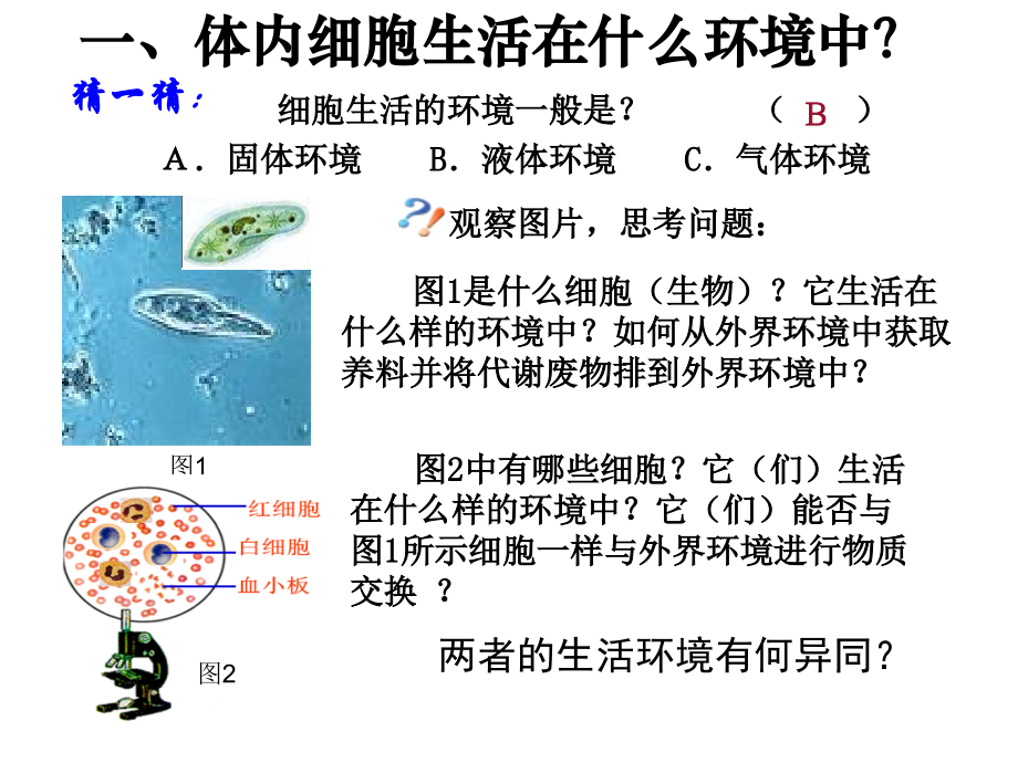 细胞生活的内环境.ppt_第2页