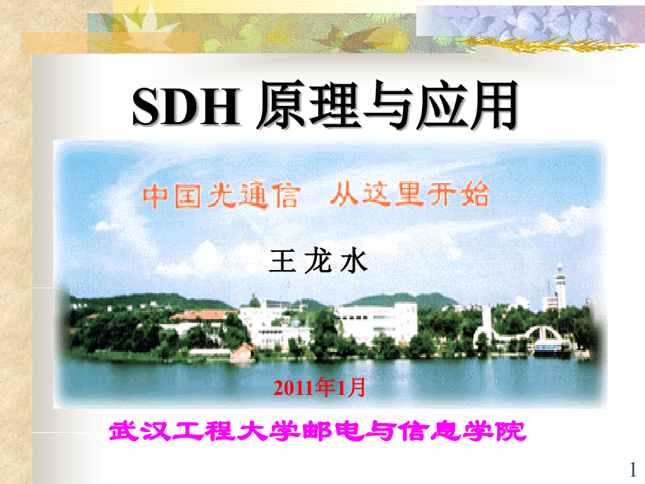 SDH原理与技术.ppt_第1页