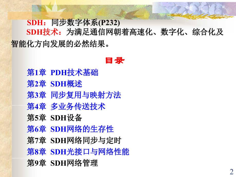 SDH原理与技术.ppt_第2页