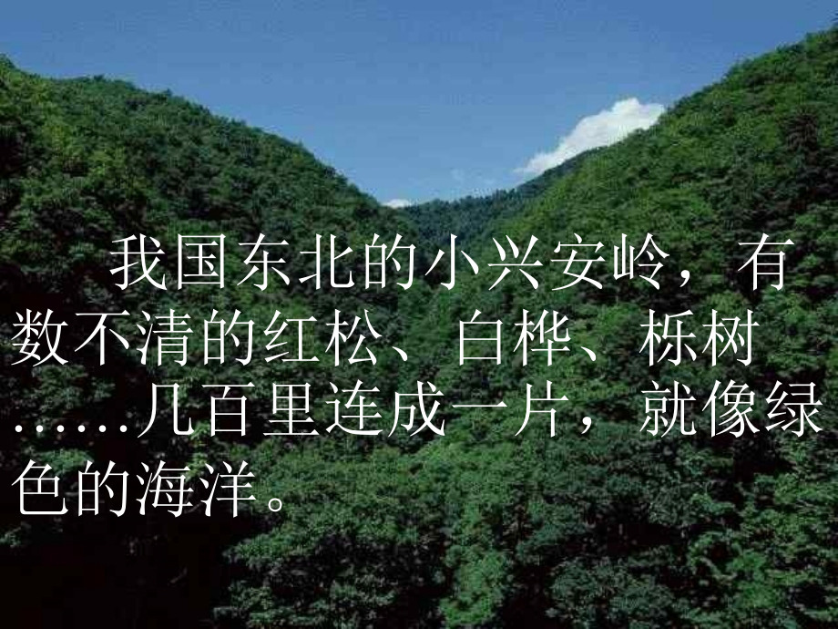 美丽的小兴安岭(公开课).ppt_第2页