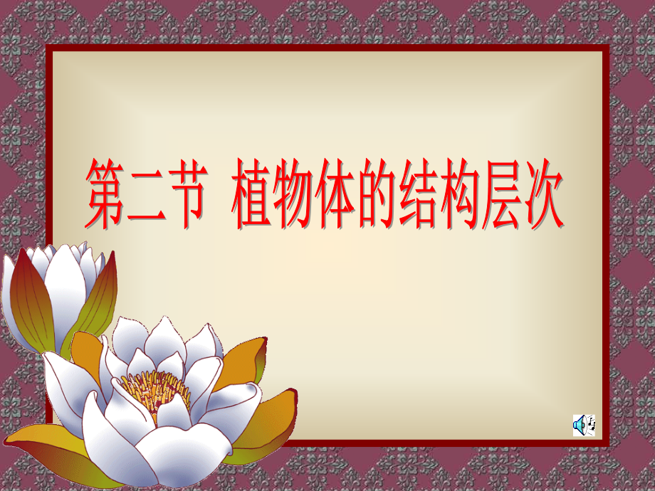 第二节植物体的结构层次.ppt_第1页
