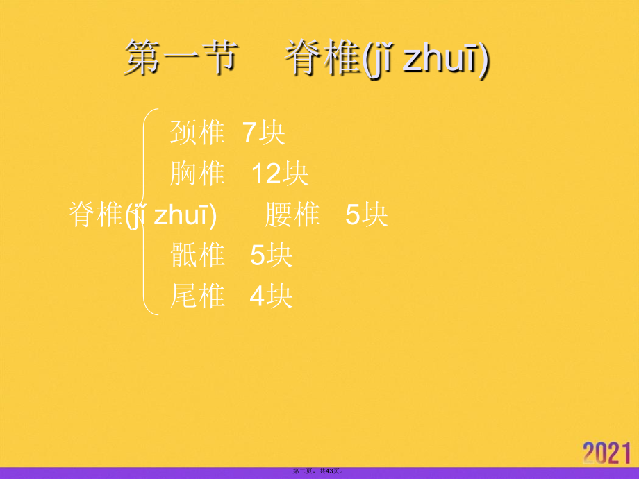 脊柱四肢神经系统检查.pptx_第2页