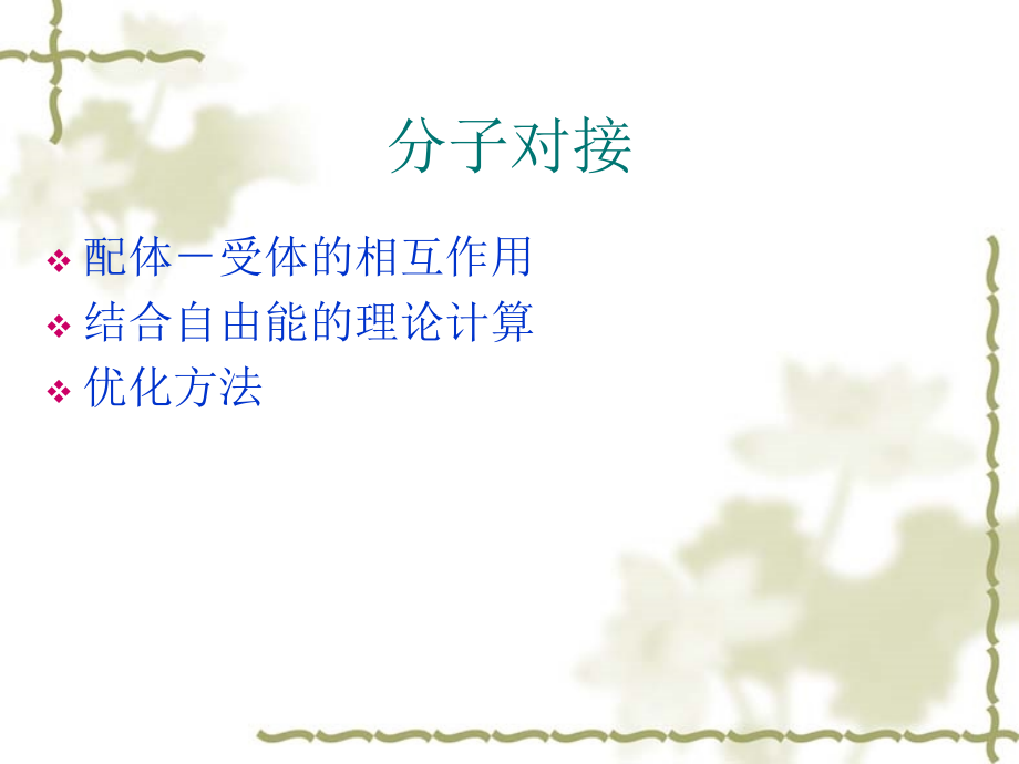 分子对接与全局最优化方法.ppt_第2页