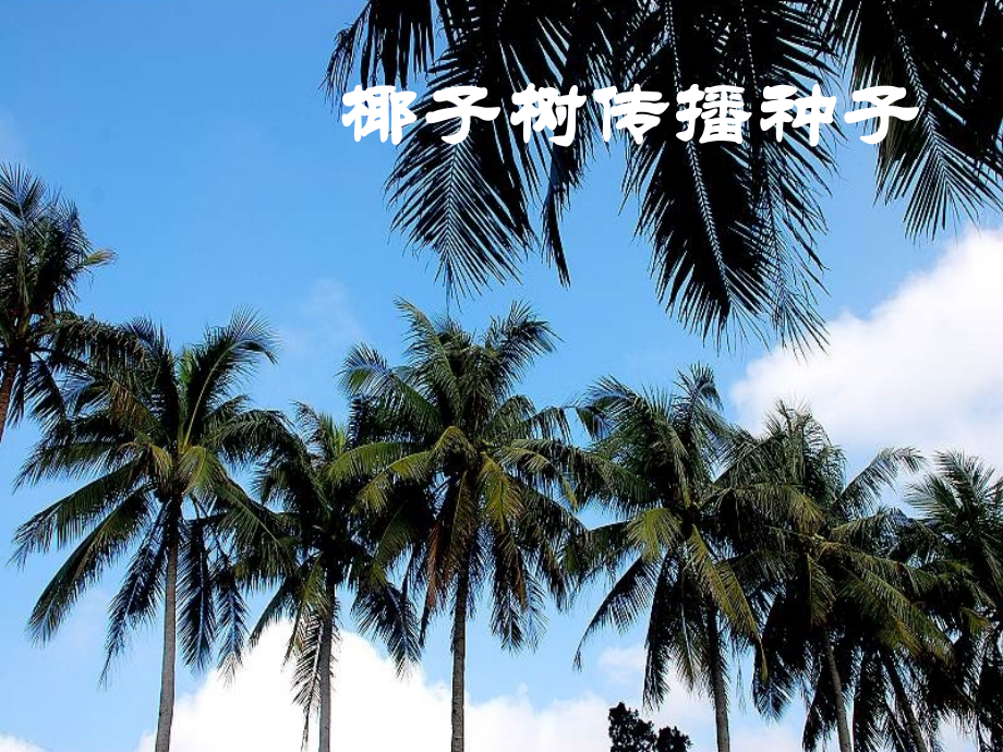 苏教版三年级语文上册练习三课件.ppt_第2页