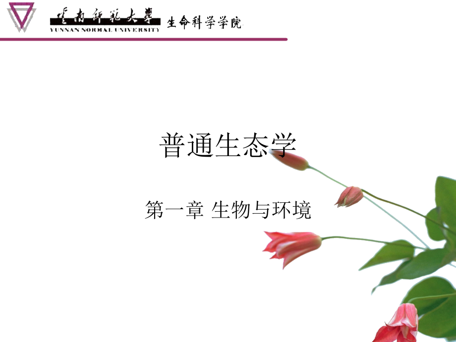 第1章+生物与环境.ppt_第1页