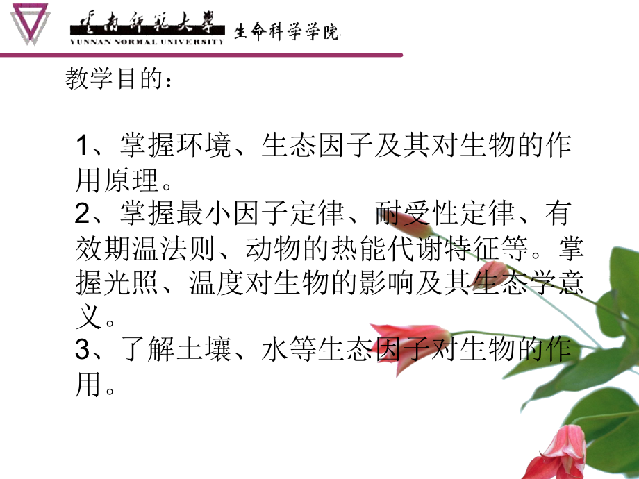 第1章+生物与环境.ppt_第2页