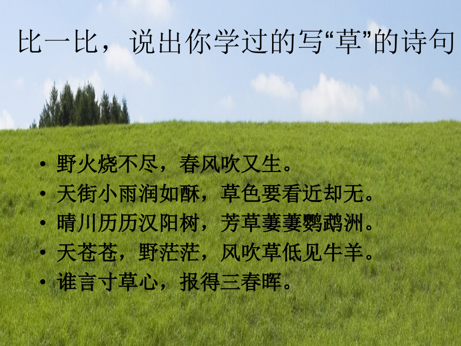 王愿坚《草》.ppt_第1页