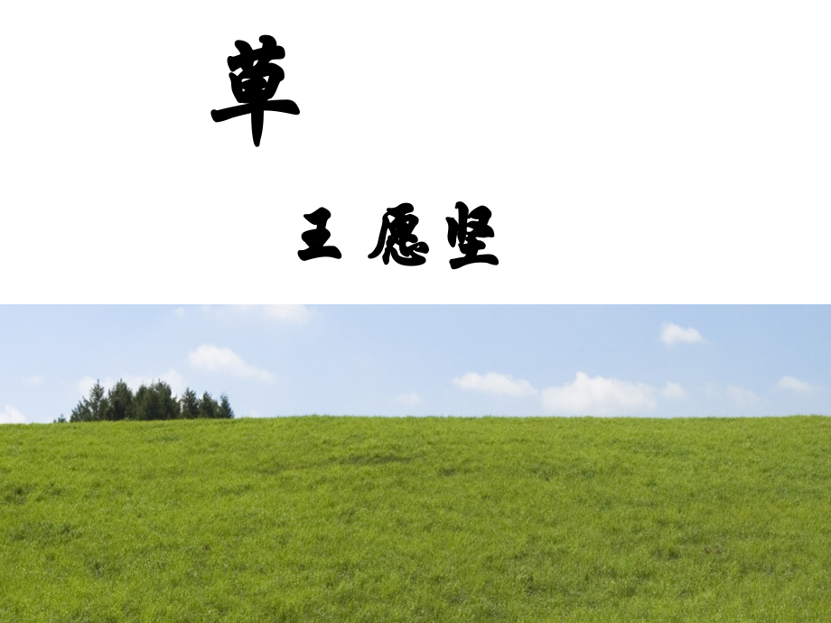 王愿坚《草》.ppt_第2页