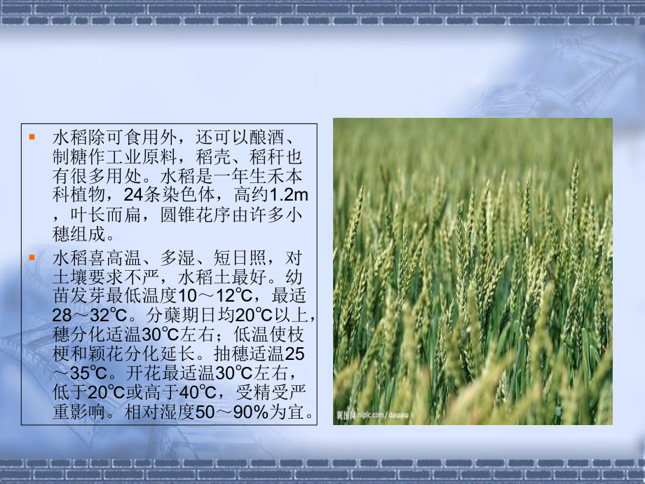 无土栽培技术.ppt_第2页