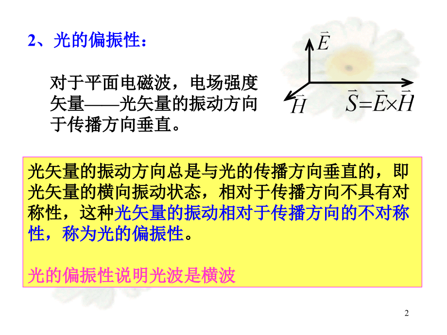 第12-5光的偏振.ppt_第2页