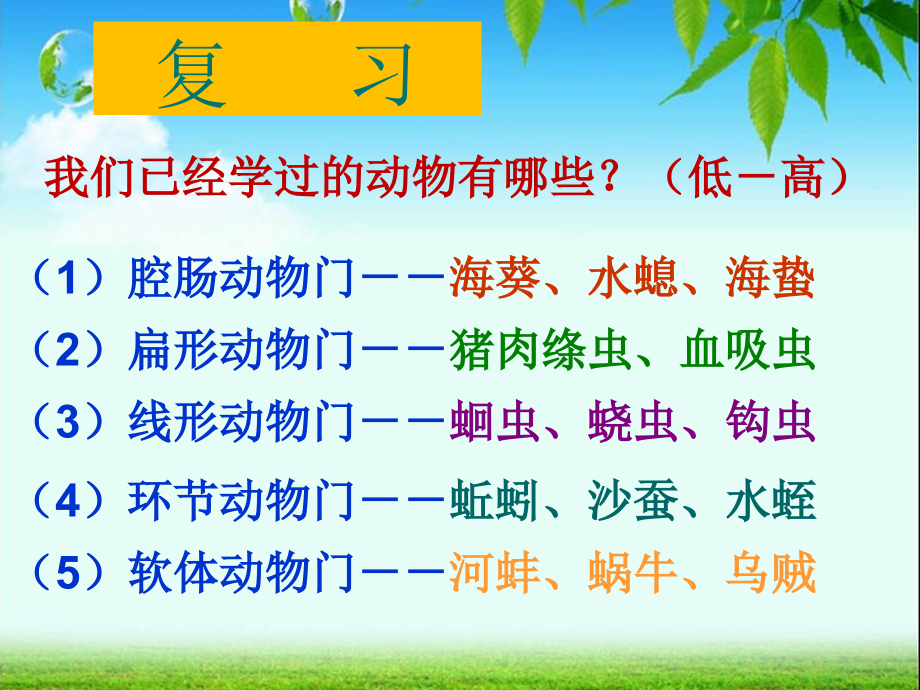 第五节节肢动物蝗虫.ppt_第1页