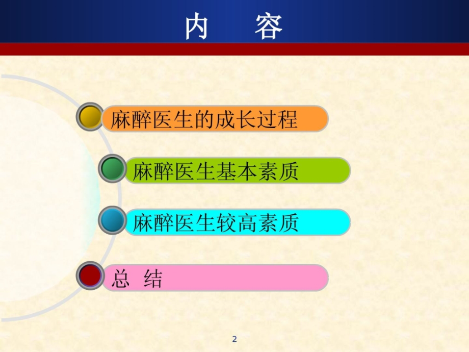 麻醉大夫的造就.pptx_第2页
