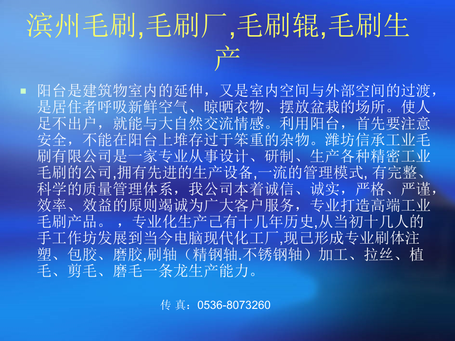 滨州毛刷,毛刷厂,毛刷辊,毛刷生产.ppt_第2页