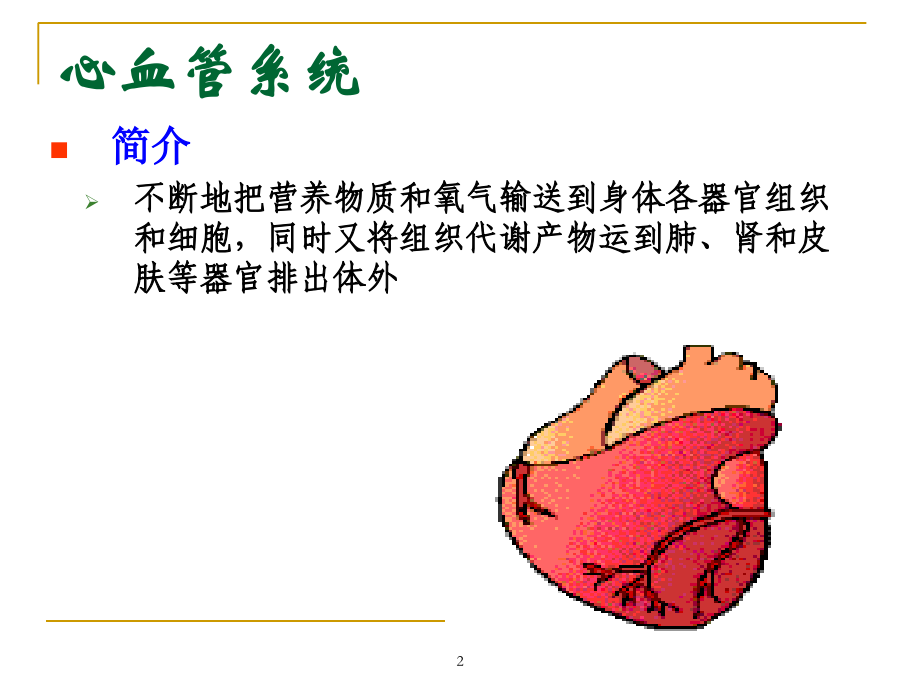 第十二章.心血管系统解剖生理课件.ppt_第2页