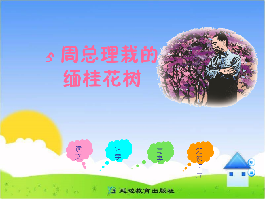 《周总理栽的缅桂花树》课件.ppt_第1页